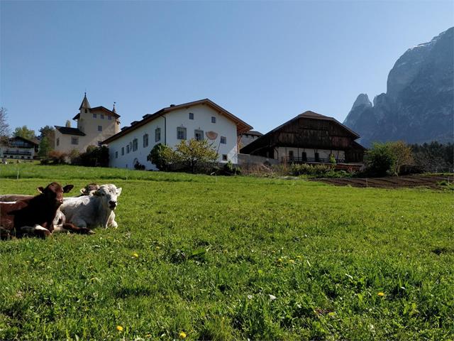 Ristorante Zimmerlehen